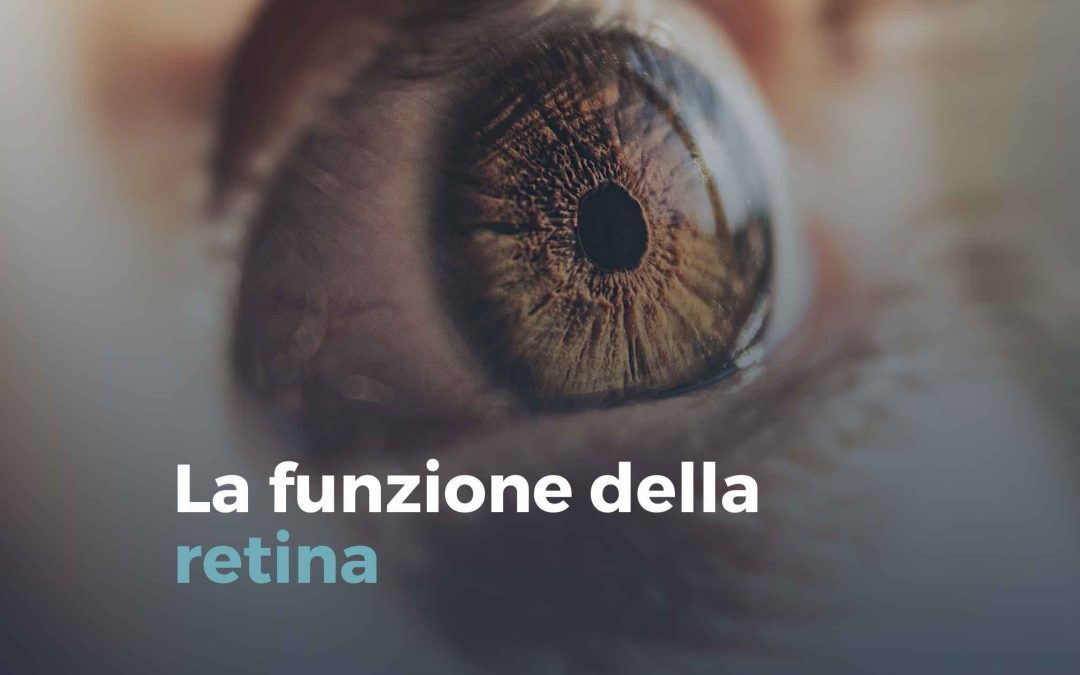 La funzione della retina