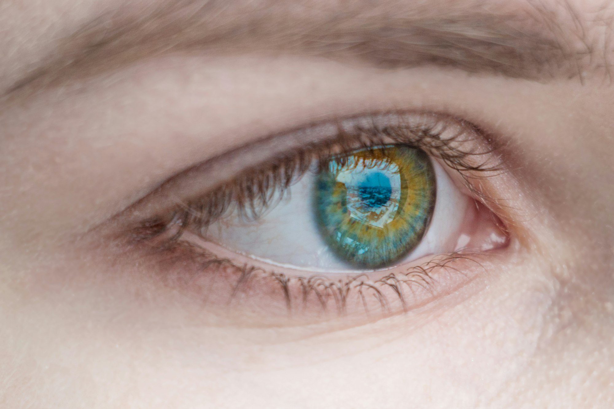 Female eye with green iris and long natural eyelashes close up